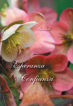 eBook - Esperanza y confianza