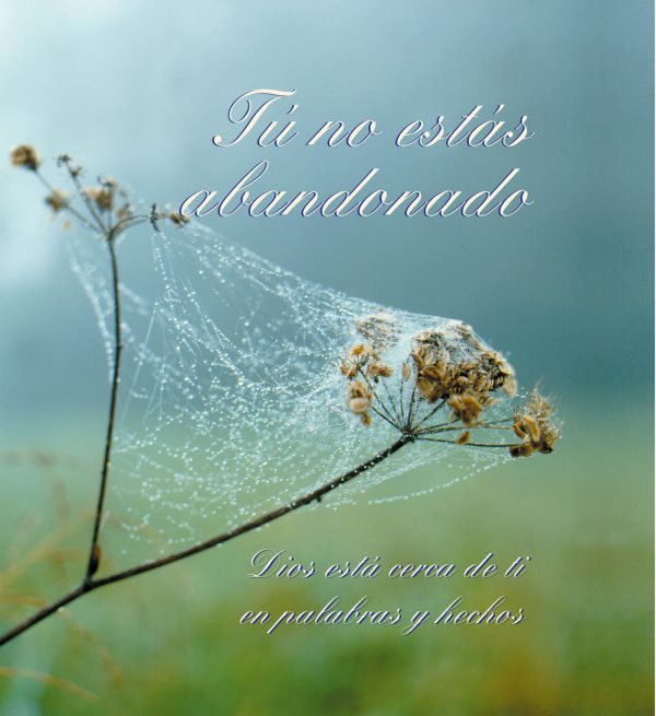 eBook - Tú no estás abandonado