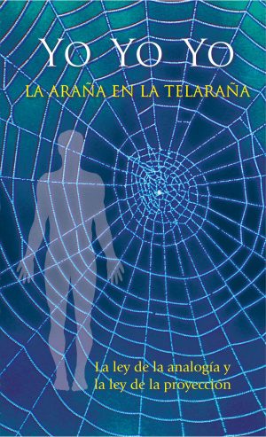 eBook - Yo Yo Yo. La araña en la telaraña [Digital]